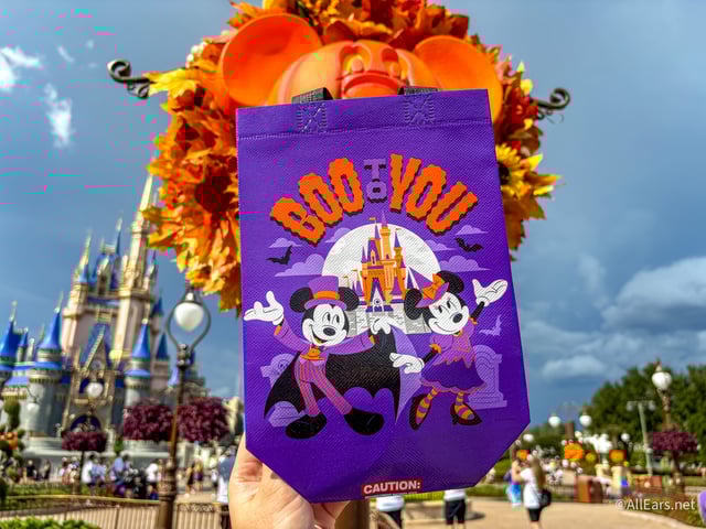 The other side of the bag