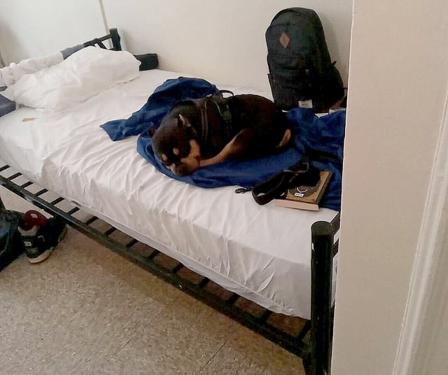 Charles Williams’ new dog friendly shelter room, which he shares with his dog Roc. (Obtained by Daily News)