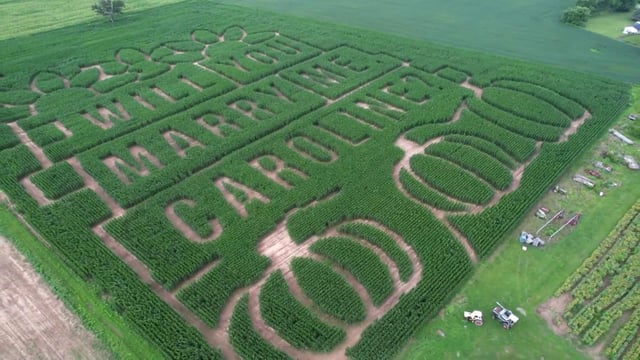 Tim Sullivan's marriage proposal cut into a 13-acre corn maze.