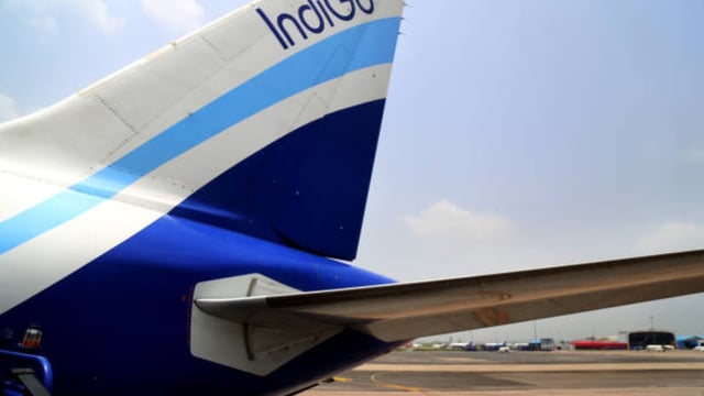indigo
