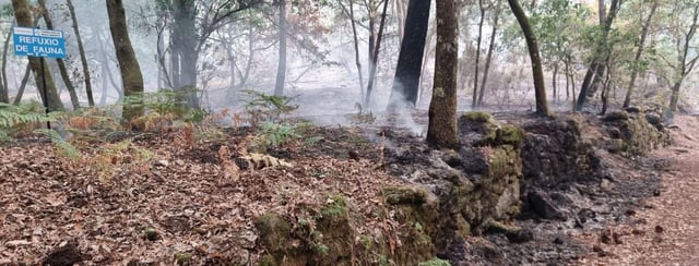 Parte del bosque de Ridimoas, refugio de fauna, con los restos del paso del fuego.