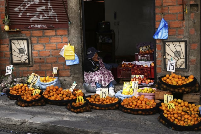 FILE - A fruit vendor waits for customers in La Paz, Bolivia, Aug. 8, 2025. (AP Photo/Juan Karita, File)