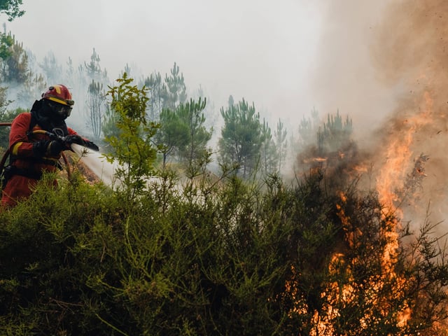 In Spanien kämpfen Tausende Menschen gegen die Brände. 