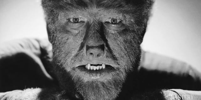 Close-up of Lon Chaney Jr. as the titular monster of 1941's 'The Wolf Man'