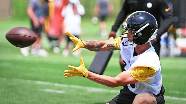 Jul 25, 2025; Pittsburgh, PA, USA; Pittsburgh Steelers wide receiver Roman Wilson (10) participates in drills during training camp at Saint Vincent College. Mandatory Credit: Barry Reeger-Imagn Images