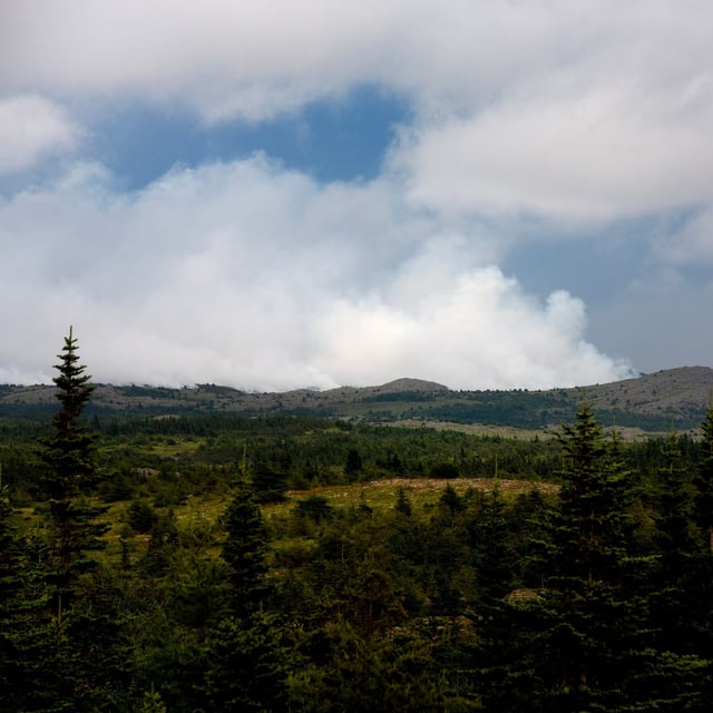 Smoke from the Kingston wildfire is visible along Route 74, northwest of Victoria, N.L., on Friday, Aug. 15, 2025. THE CANADIAN PRESS/Paul Daly