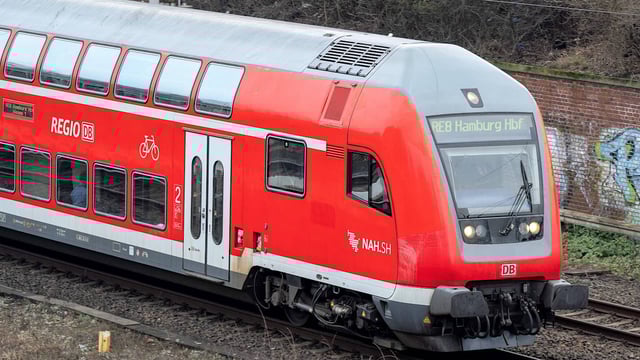 Der Zug schnurrte davon. Dann lieferten sich Beamte mit dem Tier ein Katz- und Maus-Spiel.