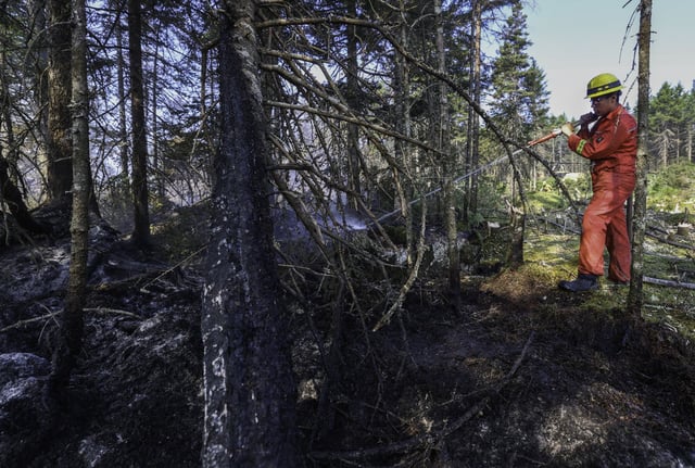 Local firefighter Oryan Curry of Annapolis Royal hoses down a hot spot at the Long Lake wildfire.
