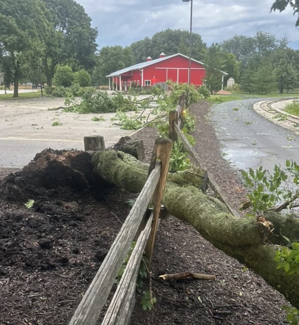 Saturday&#39;s storms damaged Blackberry Farm in Aurora, including a tree that fell through a fence at the Fox Valley Park District facility. (Fox Valley Park District)