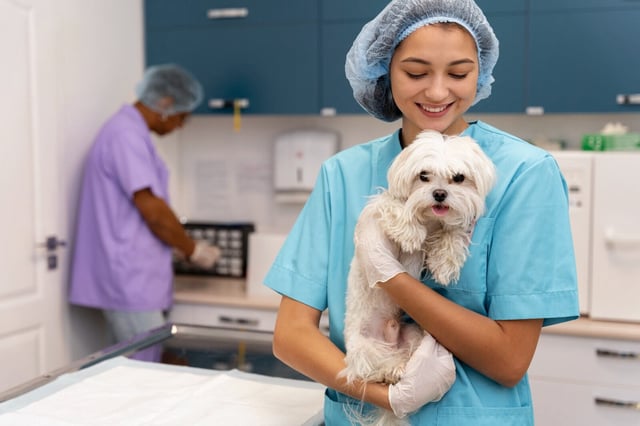 Cada 17 de agosto es el Día Nacional del Médico Veterinario