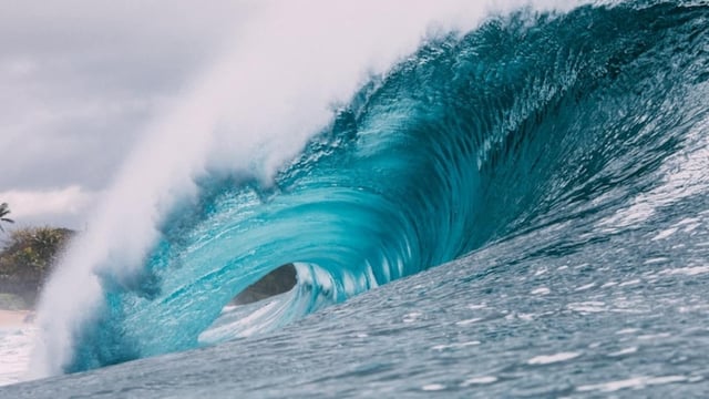 Mega-tsunami warning: These 3 US states could face direct impact in next 50 years (Unsplash - representational image)