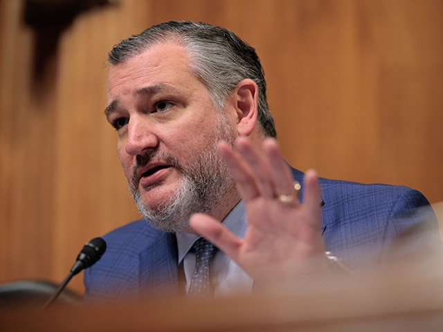 Senate Judiciary Committee member Sen. Ted Cruz (R-TX) presides over a subcommittee hearing hearing about the unprecedented number of nationwide judicial injunctions against the Trump Administration in the Dirksen Senate Office Building on Capitol Hill on June 03, 2025 in Washington, DC. The hearing, titled "The Supposedly 'Least Dangerous Branch': District Judges v. Trump," was conducted by the combined subcommittees on The Constitution and The Federal Courts, Oversight, Agency Action, and Federal Rights. (Photo by Chip Somodevilla/Getty Images)