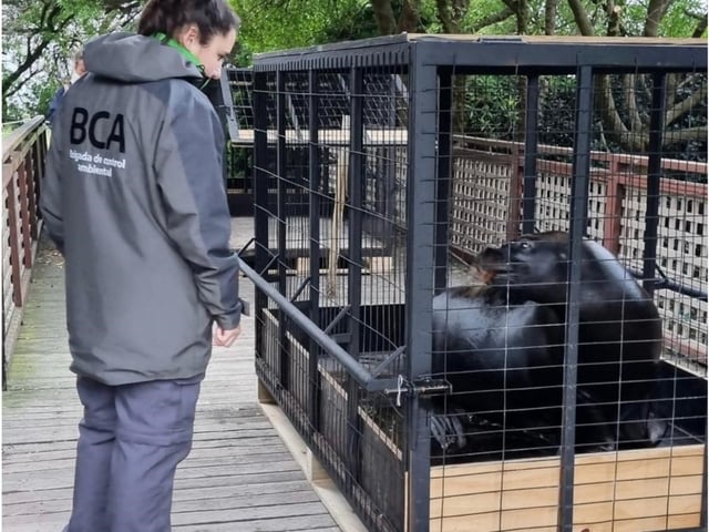 Polémica en Mar del Plata por una denuncia sobre presunto abandono de animales en el Aquarium