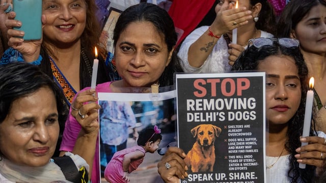 People gathered with posters and candles in Mumbai's Lokhandwala, Andheri, to protest against the SC's order to remove stray dogs from Delhi.