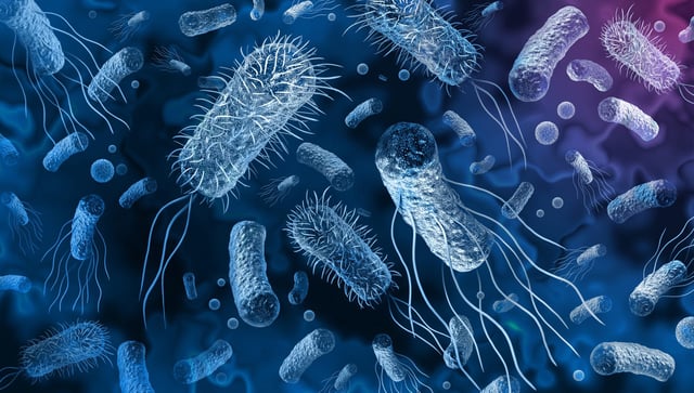 Image: © wildpixel | iStock