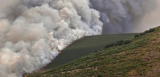 Un incendie de forêt à Castrillo de Cabrera, dans le nord-ouest de l'Espagne, le 16 août 2025