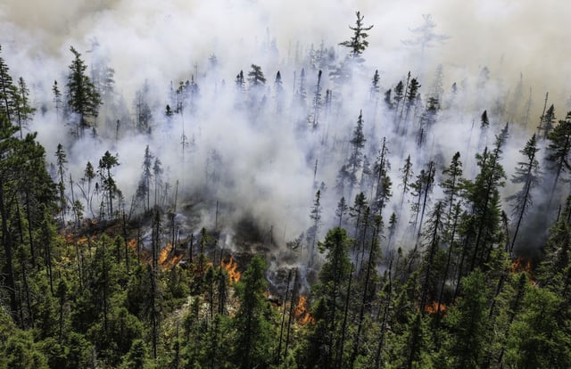  Flames burn through a stand of softwood Sunday at the Long Lake wildfire . – Province of Nova Scotia