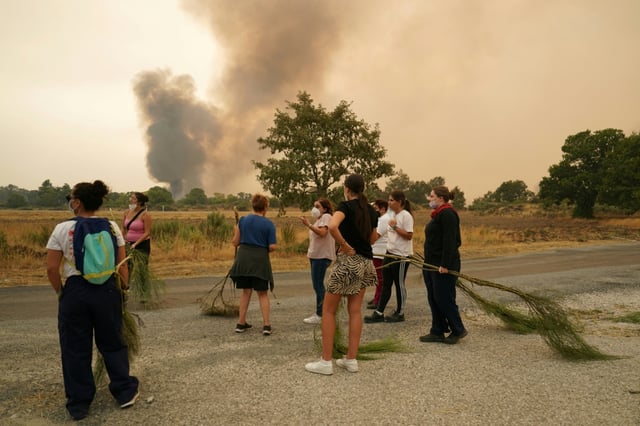 Durch Waldbrände ist in Spanien schon jetzt so viel Land verbrannt worden wie nie zuvor innerhalb eines ganzen Jahres. Den Flammen fielen seit Jahresbeginn mehr als 343.000 Hektar zum Opfer.