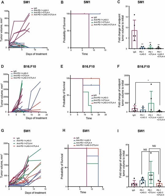 Identification of anti-TIM-3 based checkpoint inhibitor combinations with activity in immunotherapy refractory melanoma models
