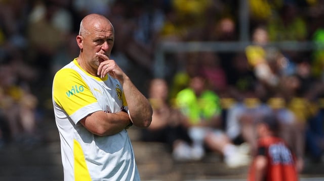 BVB-Trainer Markus Högner