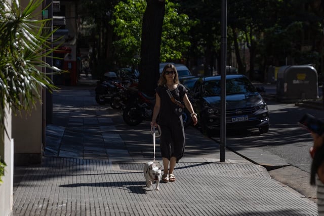 Hasta el momento, todas las mascotas afectadas se vieron intoxicadas tras pasear por Las Cañitas