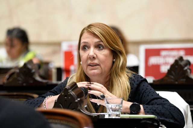 La diputada Alejandra Torres (Encuentro Federal-Córdoba)