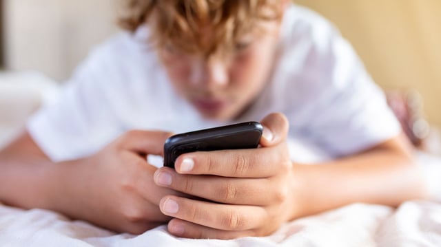 Virtual private networks allow teenage internet users to access explicit sites without any age check