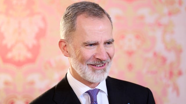 Rey Felipe VI
