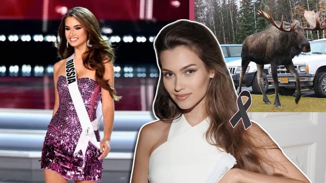 Ex Miss Universo rusa muere en accidente vial al chocar contra un alce; su esposo sobrevivió. / Foto: Especial