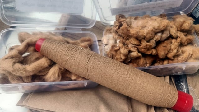 Before the exemption, cotton imports were subject to an 11 per cent duty.