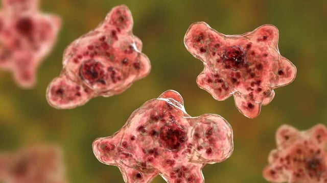 A test carried out at the microbiology lab of the medical college revealed on August 15 night that the cause of her death was amoebic encephalitis. (Pic used for representation)