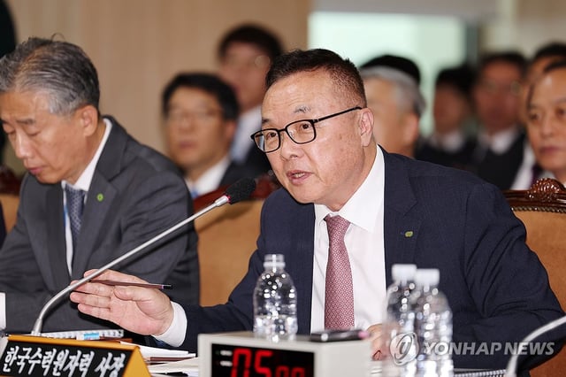 This file photo taken Oct. 14, 2024, shows Whang Joo-ho, president of the state-run Korea Hydro & Nuclear Power Co., answering lawmakers' questions during a parliamentary audit. (Yonhap)