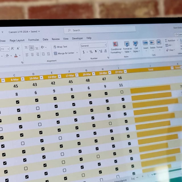 Excel spreadsheet with checkboxes