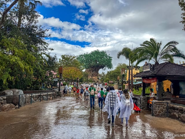 Don't let the rain ruin your day!