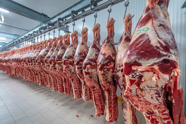 Según el último monitor, once de 20 cadenas agroindustriales aumentaron sus exportaciones en dólares y en toneladas; el complejo lácteo y bovino experimentaron incrementos en dólares, pero caídas en toneladas