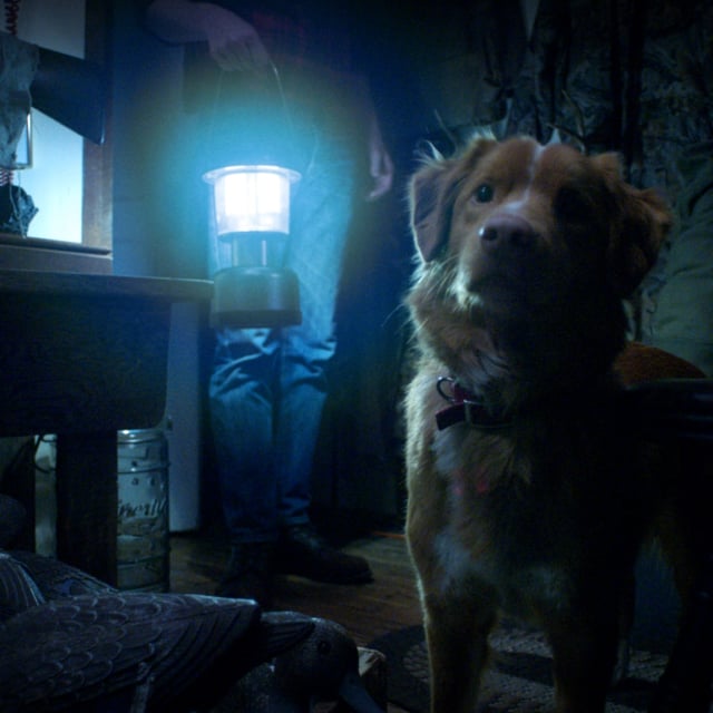 Does Indy survive the "Good Boy?"