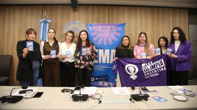 El abordaje de la violencia digital llegó al Congreso