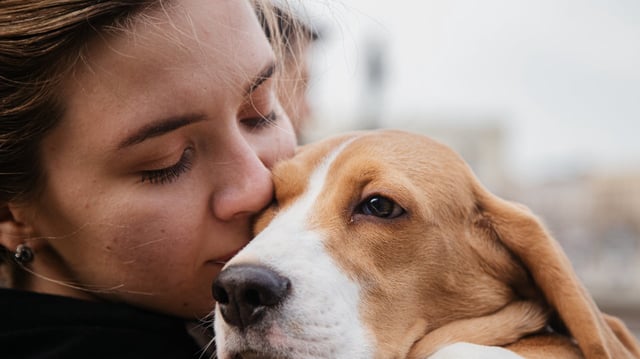En un hecho histórico para la protección animal, el Congreso de la Ciudad de México aprobó por unanimidad una reforma al Código Civil local que establece la obligación de garantizar manutención y cuidados a los animales de compañía en casos de divorcio. Foto: Canva