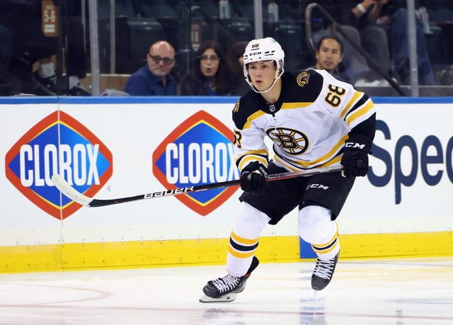 Fabian Lysell, Boston Bruins (Photo by Bruce Bennett/Getty Images)