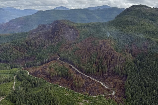 A burned section of forest from the Mount Underwood wildfire is seen in this handout photo, southwest of Port Alberni, B.C., on Monday, Aug. 18, 2025. THE CANADIAN PRESS/Handout- BC Wildfire Service (Mandatory Credit)
