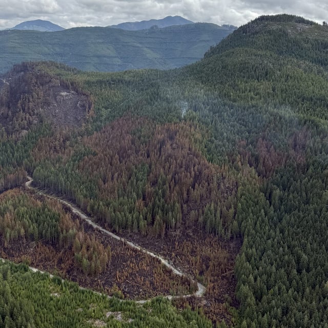 A burned section of forest from the Mount Underwood wildfire is seen in this handout photo, southwest of Port Alberni, B.C., on Monday, Aug. 18, 2025. THE CANADIAN PRESS/Handout- BC Wildfire Service (Mandatory Credit)