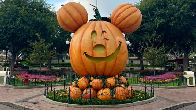 giant pumpkin