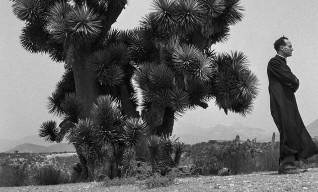 Día Mundial de la Fotografía: de imágenes únicas a cámaras celulares