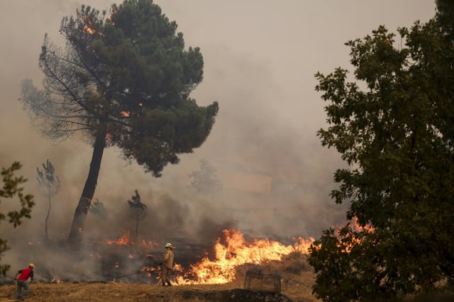 Un incendie de forêt près du village de Benvende, :e 14 août 2025 à Trancoso, au Portugal