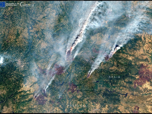 Incendios forestales se extienden por noroeste y el oeste de España. Foto: EFE