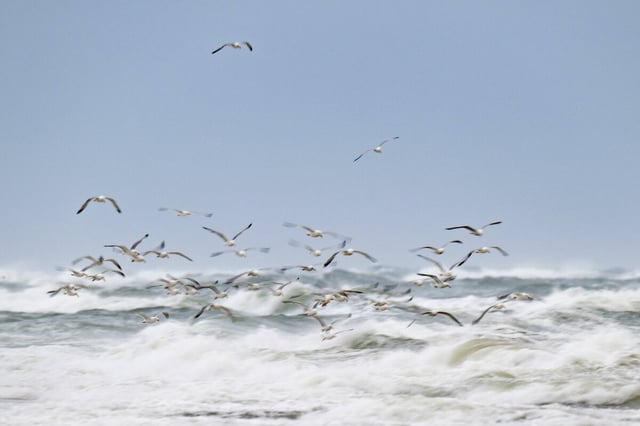 Wellen, meer Möwen und ein weiter Himmel