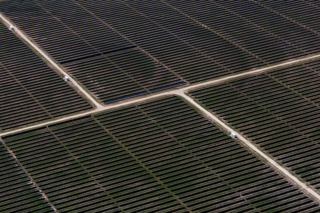 An aerial view shows rows of solar panels at a solar farm in Anson, Texas, U.S., April 23, 2025. REUTERS/Daniel Cole/File Photo