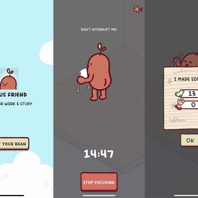 Hank Green's app Focus Friend is a bean knitting socks for room decor