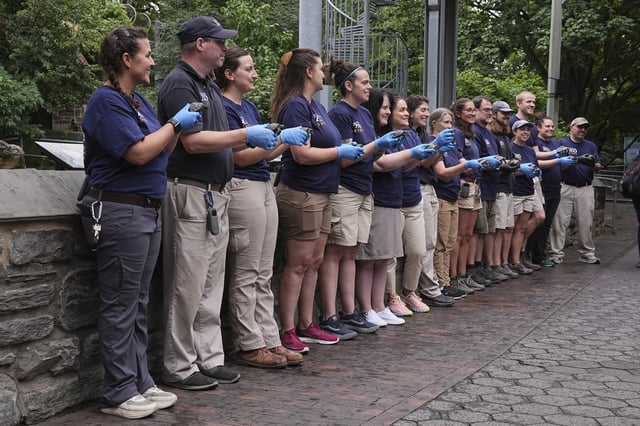 Director of Herpetology Lauren Augustine, left, and staff members pose for photograph s during the debut of 16 critically endangered western Santa Cruz tortoise hatchlings at the Philadelphia Zoo in Philadelphia, Wednesday, Aug. 20, 2025. (AP Photo/Matt Rourke)