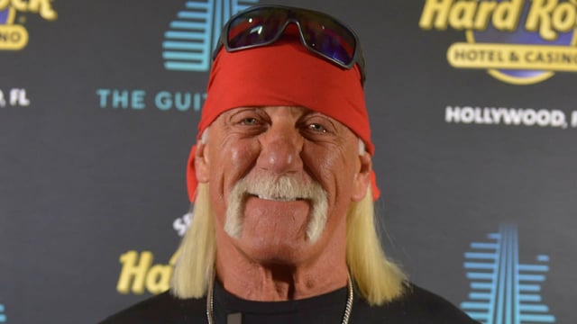 Es ist die schockierendste Behauptung seit dem Tod von Wrestling-Legende Hulk Hogan (†71).